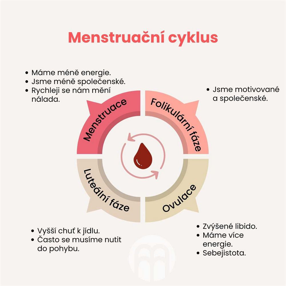 Čaj na menstruaci: jak zmírnit bolest a nepříjemné příznaky