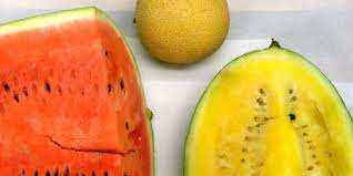 Jak dlouho roste meloun: růstové fáze, doba zrání a sklizeň