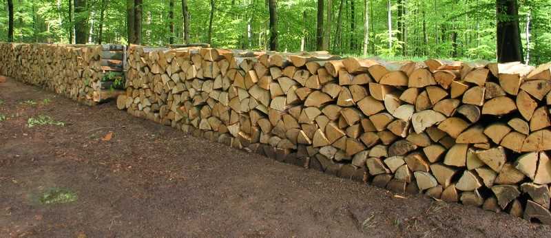 Jak správně skládat dřevo: tipy a triky pro efektivní skladování