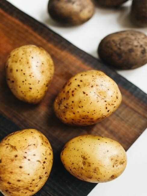 Jak pěstovat brambory návod pro začátečníky - tipy a triky
