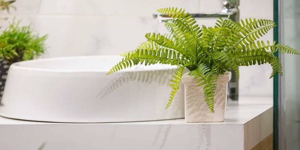 Květiny do koupelny: Jaké rostliny vybrat pro váš koupelnový interiér
