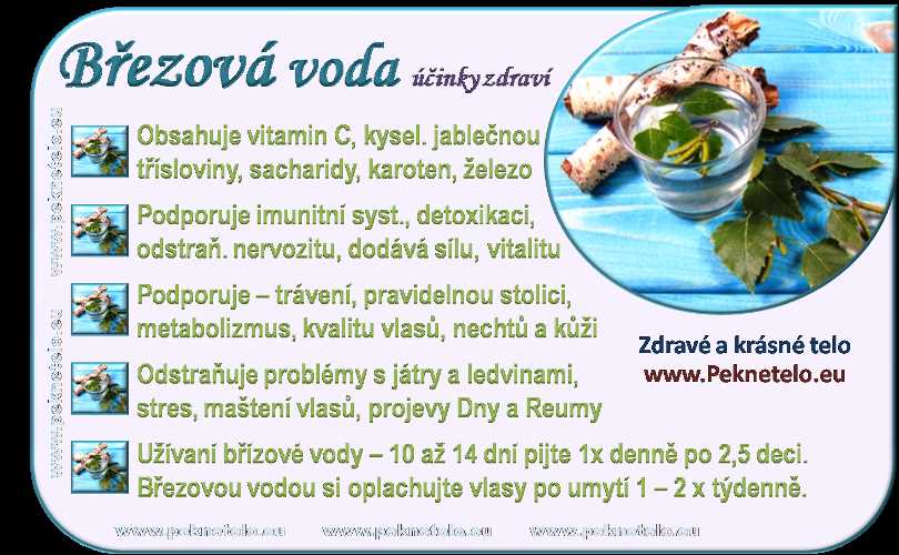 Březová voda na pití - přírodní osvěžení pro zdraví a krásu