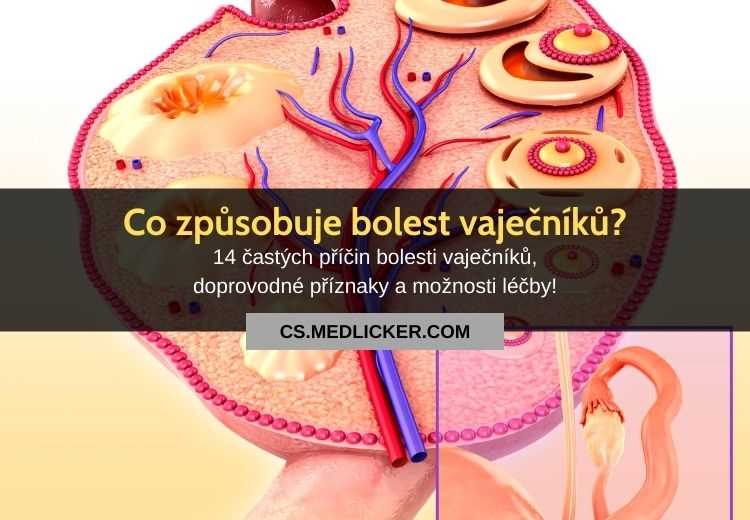 Bolest v podbřišku po nechráněném styku – příčiny, příznaky a léčba Bolest v podbřišku po nechráněném styku – příčiny, příznaky a léčba