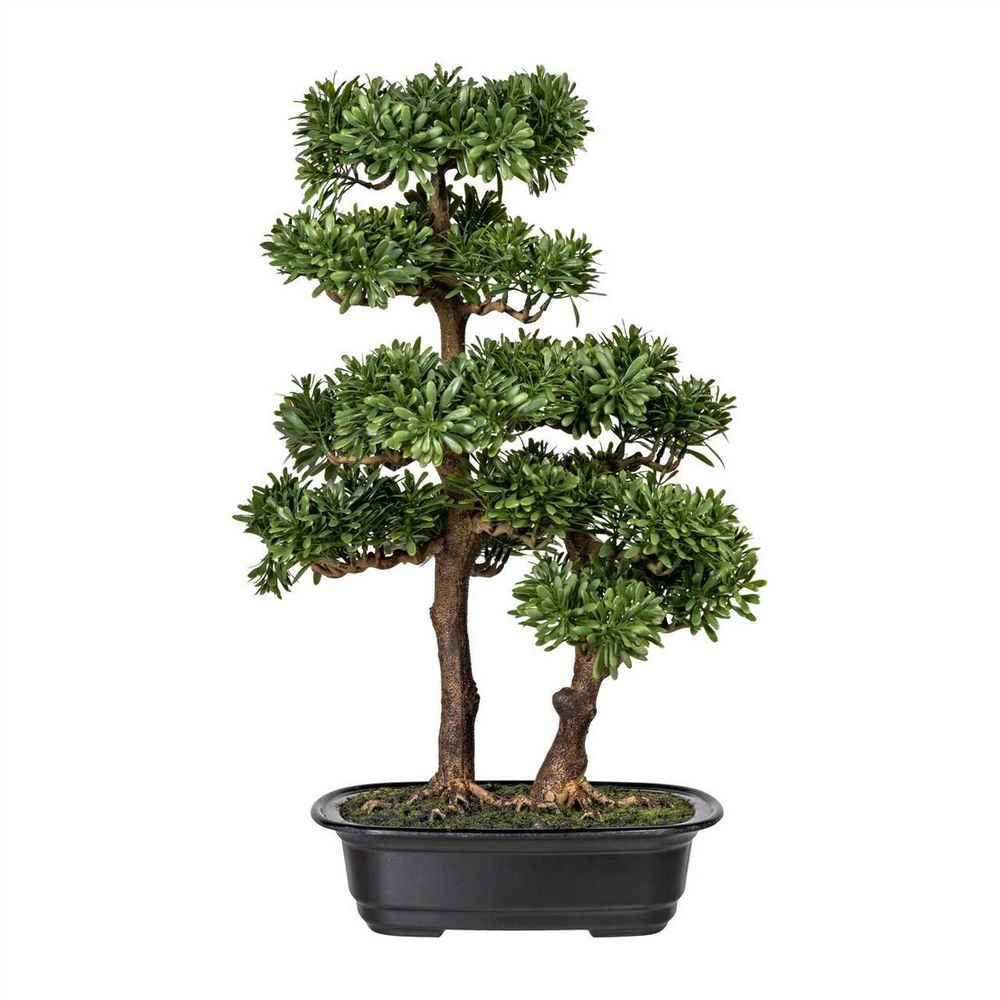 Jak pečovat o bonsai: tipy a rady pro úspěšnou péči