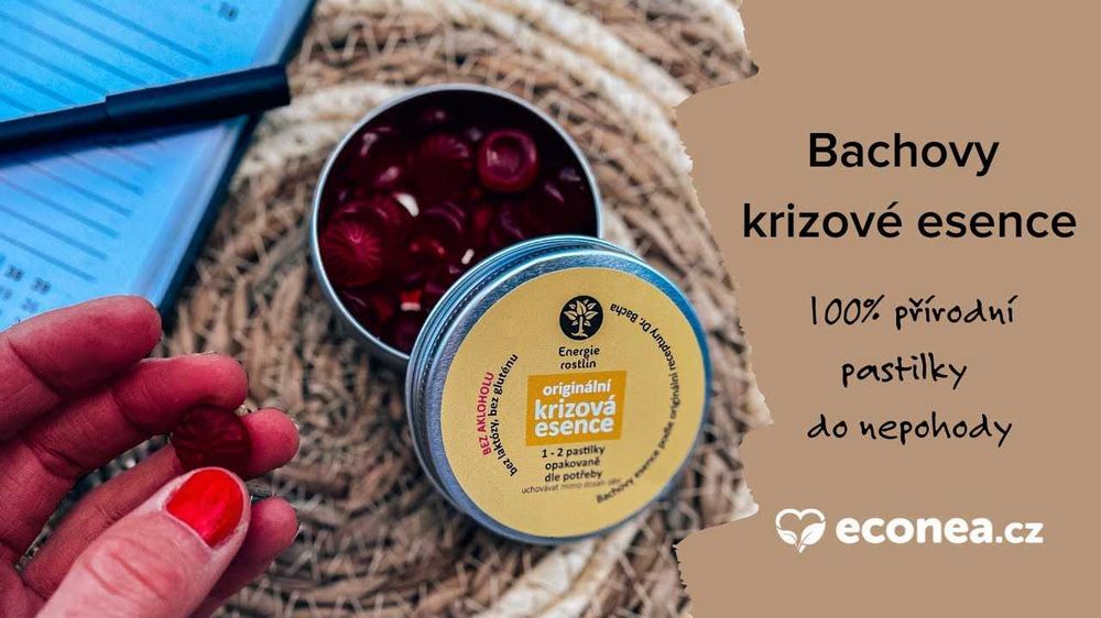 Bachovy esence negativní zkušenosti - Webový článek Bachovy esence negativní zkušenosti - Webový článek
