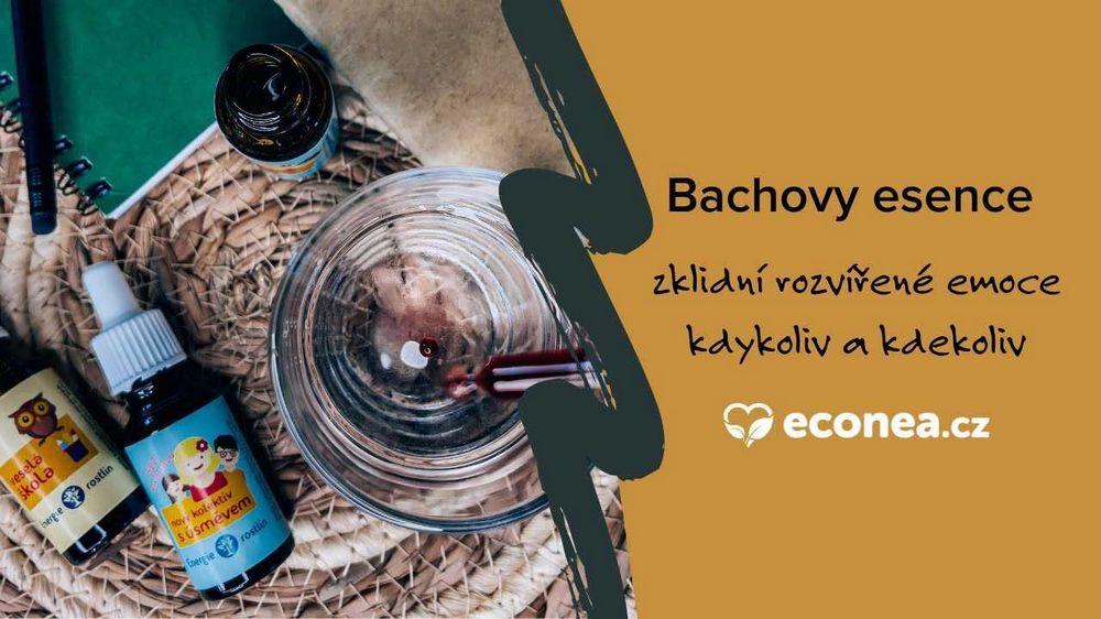 Bachovy esence negativní zkušenosti - Webový článek Bachovy esence negativní zkušenosti - Webový článek