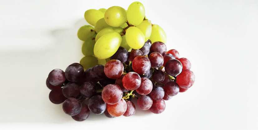 Hroznové víno vitamíny - jaké jsou jejich benefity pro zdraví