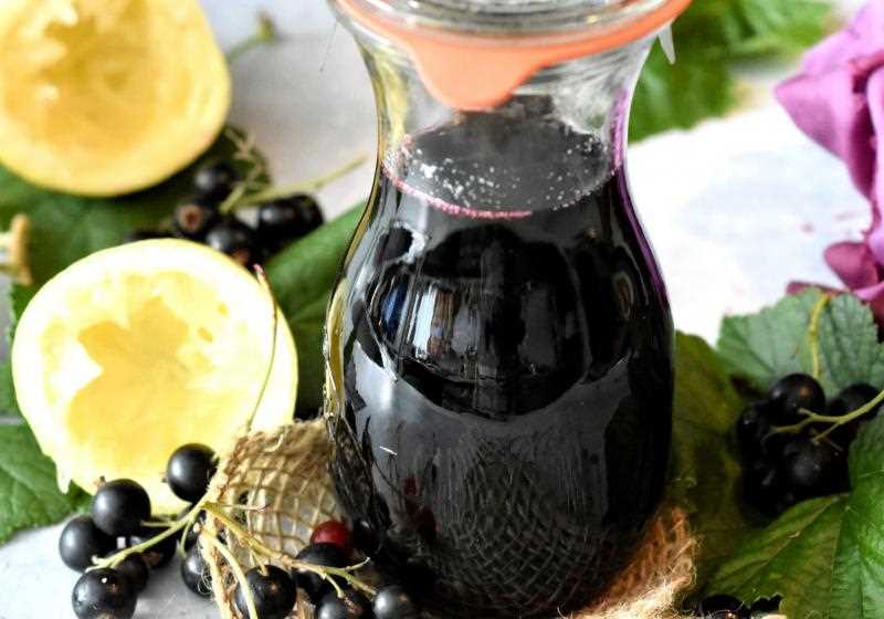 Víno z černého rybízu - recepty a tipy