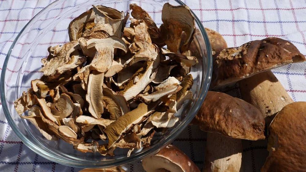 Jak správně skladovat sušené houby - tipy a triky