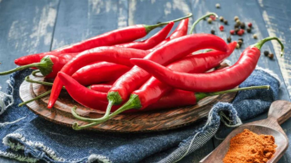 Pěstování chilli papriček: tipy a triky pro úspěšnou úrodu | Návod na pěstování chilli papriček