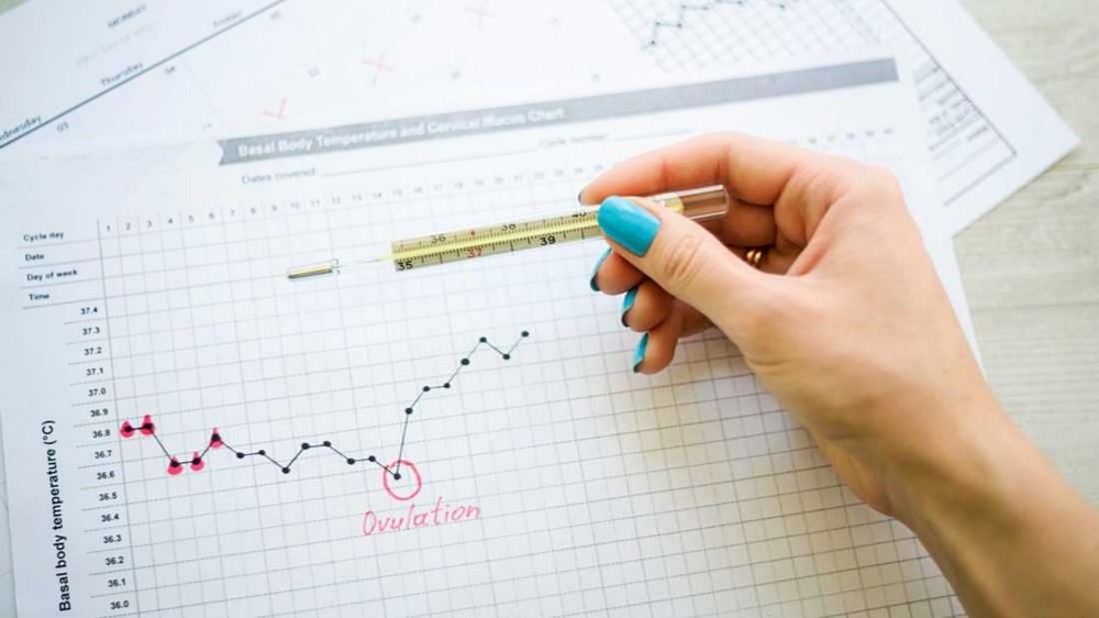 Kdy je žena nejplodnější? Zjistěte optimální čas pro početí dítěte Kdy je žena nejplodnější? Zjistěte optimální čas pro početí dítěte