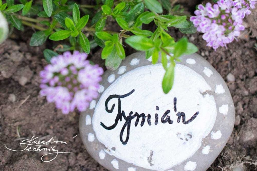 Malování na kamínky: inspirace a tipy pro vytvoření originálních dekorací Malování na kamínky: inspirace a tipy pro vytvoření originálních dekorací
