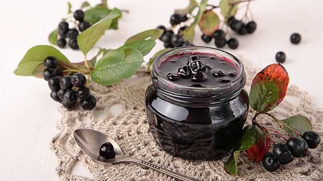 Jak využít černé jeřabiny: recepty a tipy Jak využít černé jeřabiny: recepty a tipy