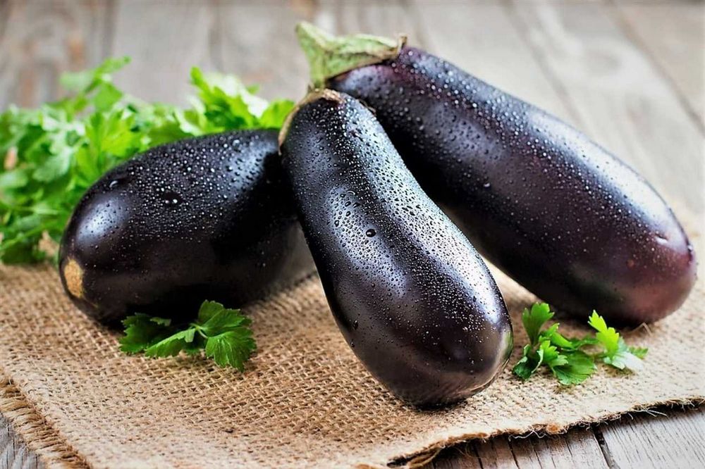 Jak pěstovat lilek: tipy a rady pro úspěšný růst a péči o rostlinu