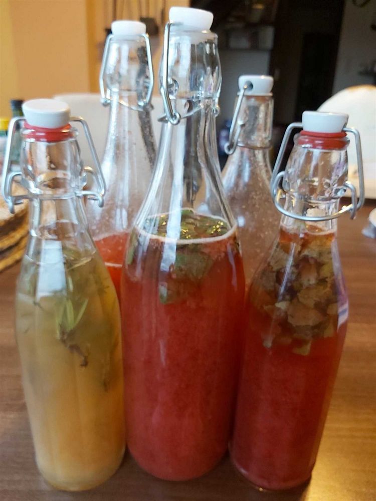Kombucha recept 3 litry - Jak vyrobit domácí kombuchu ve velkém množství