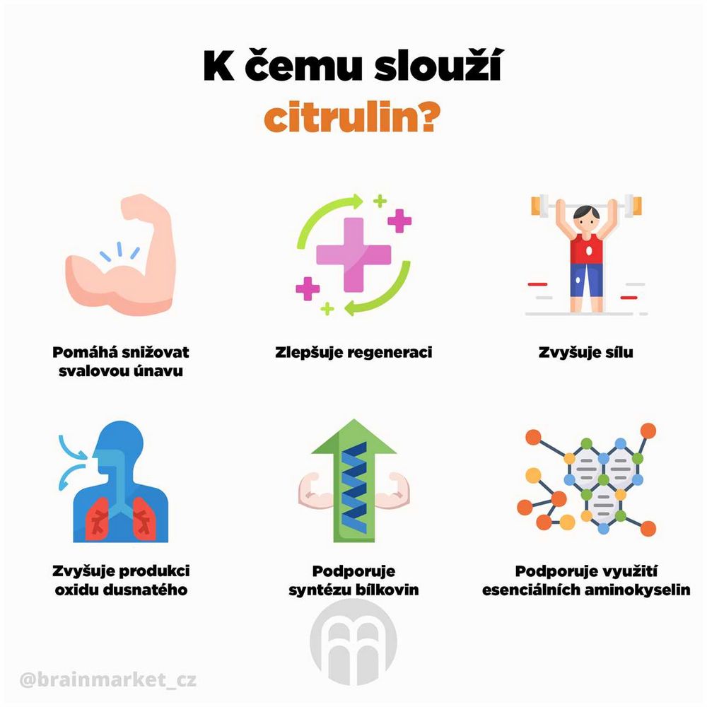 Nízký krevní tlak: příčiny, symptomy a léčba | Nízký tlak krve