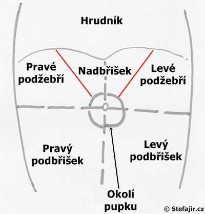 Tlak v levém podžebří: příčiny, příznaky a léčba