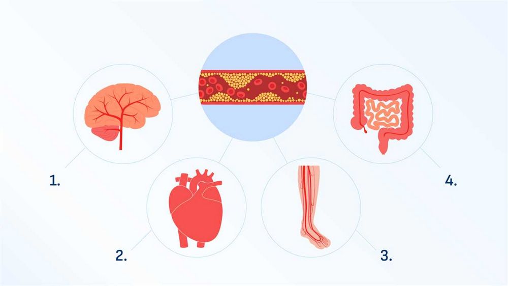 Pocit slabosti v končetinách - příčiny, symptomy a léčba | Návod a rady