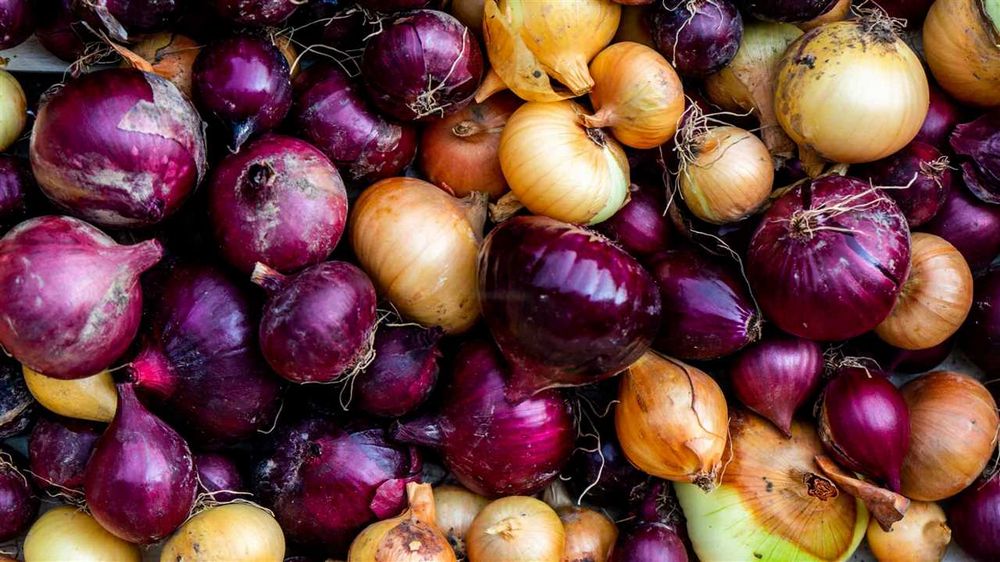 Jak a kde sázet cibuli - tipy a rady