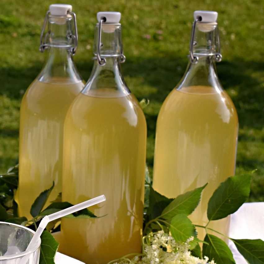 Recept na bezinkový sirup: Jak si vyrobit domácí sirup z bezinek Recept na bezinkový sirup: Jak si vyrobit domácí sirup z bezinek