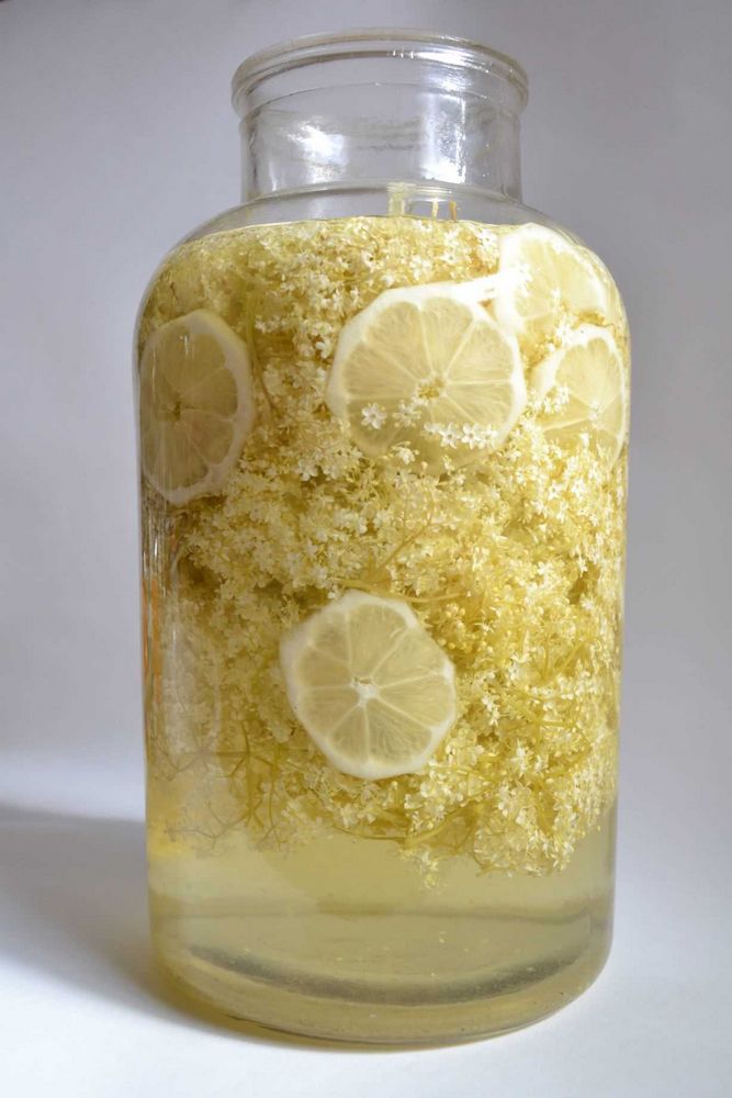 Recept na bezinkový sirup: Jak si vyrobit domácí sirup z bezinek Recept na bezinkový sirup: Jak si vyrobit domácí sirup z bezinek